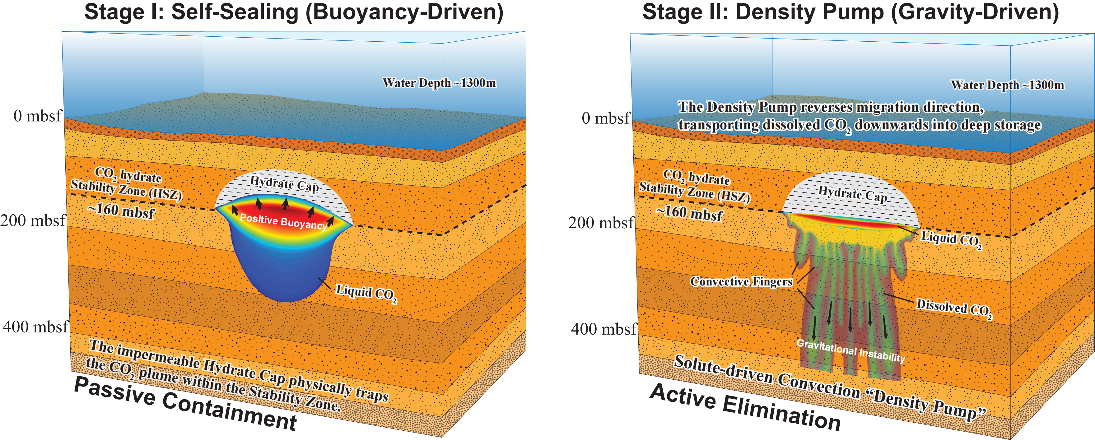 Graphical Abstract_01.png